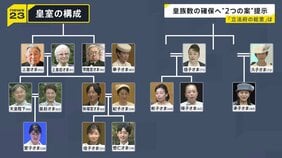 “皇族数の確保策”とりまとめ案　「女性皇族の結婚後の身分保持」や「旧宮家・男系男子の養子」　一方で｢女性・女系天皇｣の議論は…【news23】|TBS NEWS DIG