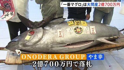 マグロ派のブリ マグロの成長限界について - Genspark