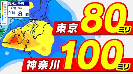 東京首都圏】東京80ミリ 神奈川100ミリ「激しい雨」に注意【雨