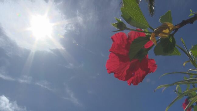 今年全国で初めての熱中症警戒アラート発表 沖縄・八重山地方 波照間島では最高気温32.1度|TBS NEWS DIG