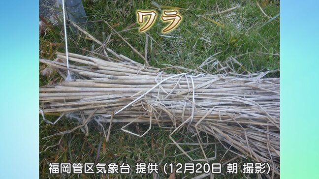 ワラっちゃう！？　ワラを使ったまじめな気象観測とは？|TBS NEWS DIG