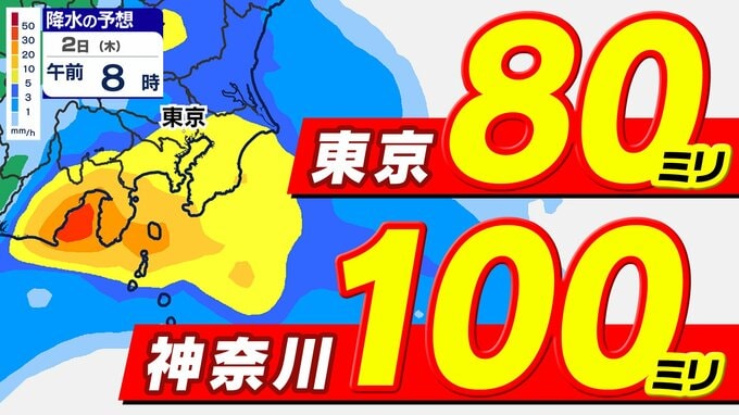 【東京首都圏】東京８０ミリ  神奈川１００ミリ「激しい雨」に注意【雨シミュレーション７月２日（木）／ 週間予報】東京・神奈川・埼玉・千葉・群馬・栃木・茨城・山梨・長野  |TBS NEWS DIG