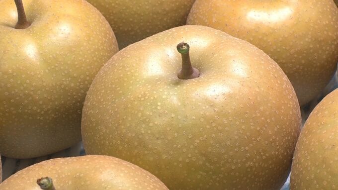 ブランド梨「加賀しずく」と加賀野菜「五郎島金時」が初出荷|TBS NEWS DIG