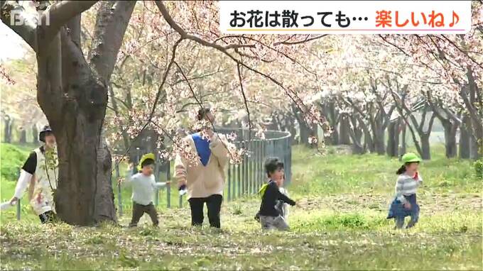 120本のソメイヨシノの前では菜の花も… 園児はお散歩 楽しいね　新潟県上越市・関川|TBS NEWS DIG
