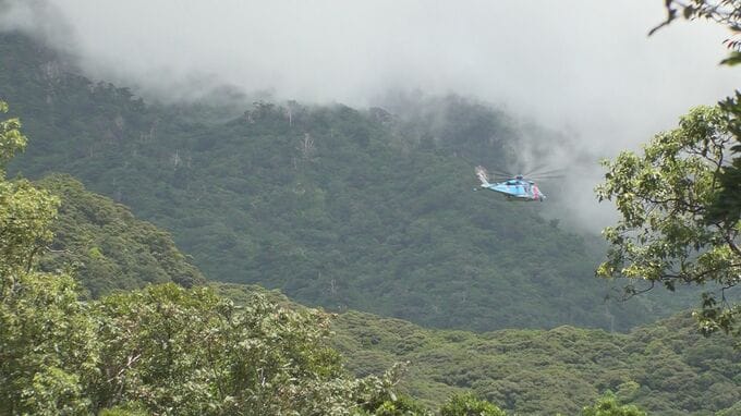 屋久島で60代男性が行方不明に　山で遭難か　鹿児島|TBS NEWS DIG