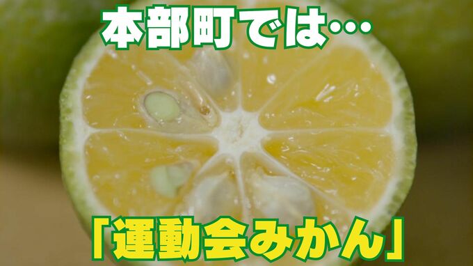 本部町伊豆味で“運動会みかん”と呼ばれる特産…今が旬の「〇ー〇〇ー」　|　沖縄のニュース｜RBC 琉球放送