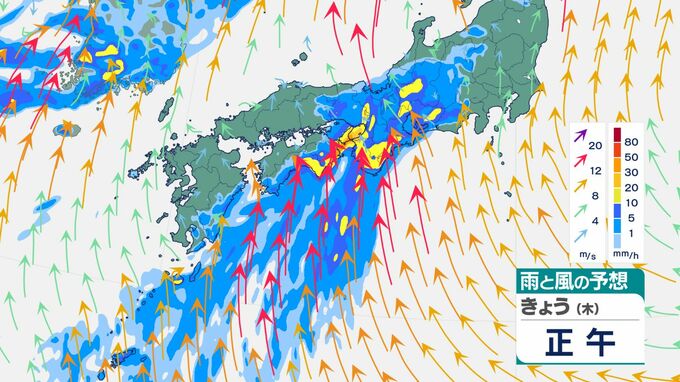 東日本～西日本の太平洋側で大雨　線状降水帯が徳島・高知に発生の恐れ、愛知・三重・岐阜・静岡は“警報級大雨”か　関東甲信、東海、近畿、四国、九州（雨風シミュレーション）　|　高知のニュース・天気｜KUTV NEWS | KUTVテレビ高知