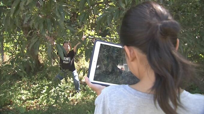 カメラマンは子どもたち…コロナ禍で外出・面会が減った高齢者へ元気を届ける写真展が始まる　展示を見た100歳の男性「これ見ただけで元気を頂きました」　|　BSSニュース | BSS山陰放送