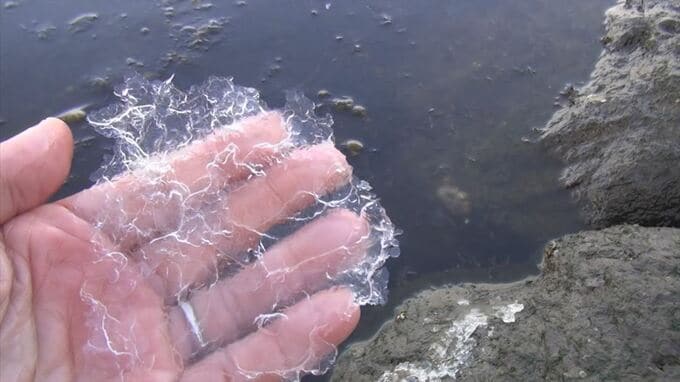 今季最低…今年最高　寒くて暖かい１日　寒暖差２０℃も　鳥取県日南町　|　BSSニュース | BSS山陰放送