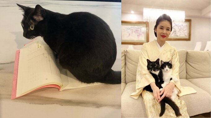 【ねこ】藤あや子さん「台本読ませないハラスメント」愛猫マルが妨害　「明日本番だけど」あきらめ寸前|TBS NEWS DIG