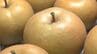 ブランド梨「加賀しずく」と加賀野菜「五郎島金時」が初出荷　|　石川県のニュース｜MRO北陸放送