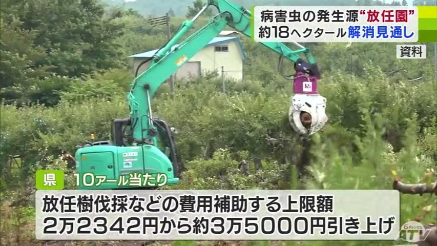 病害虫の発生源のリンゴ放任園 増加続くも18ヘクタール解消見込み