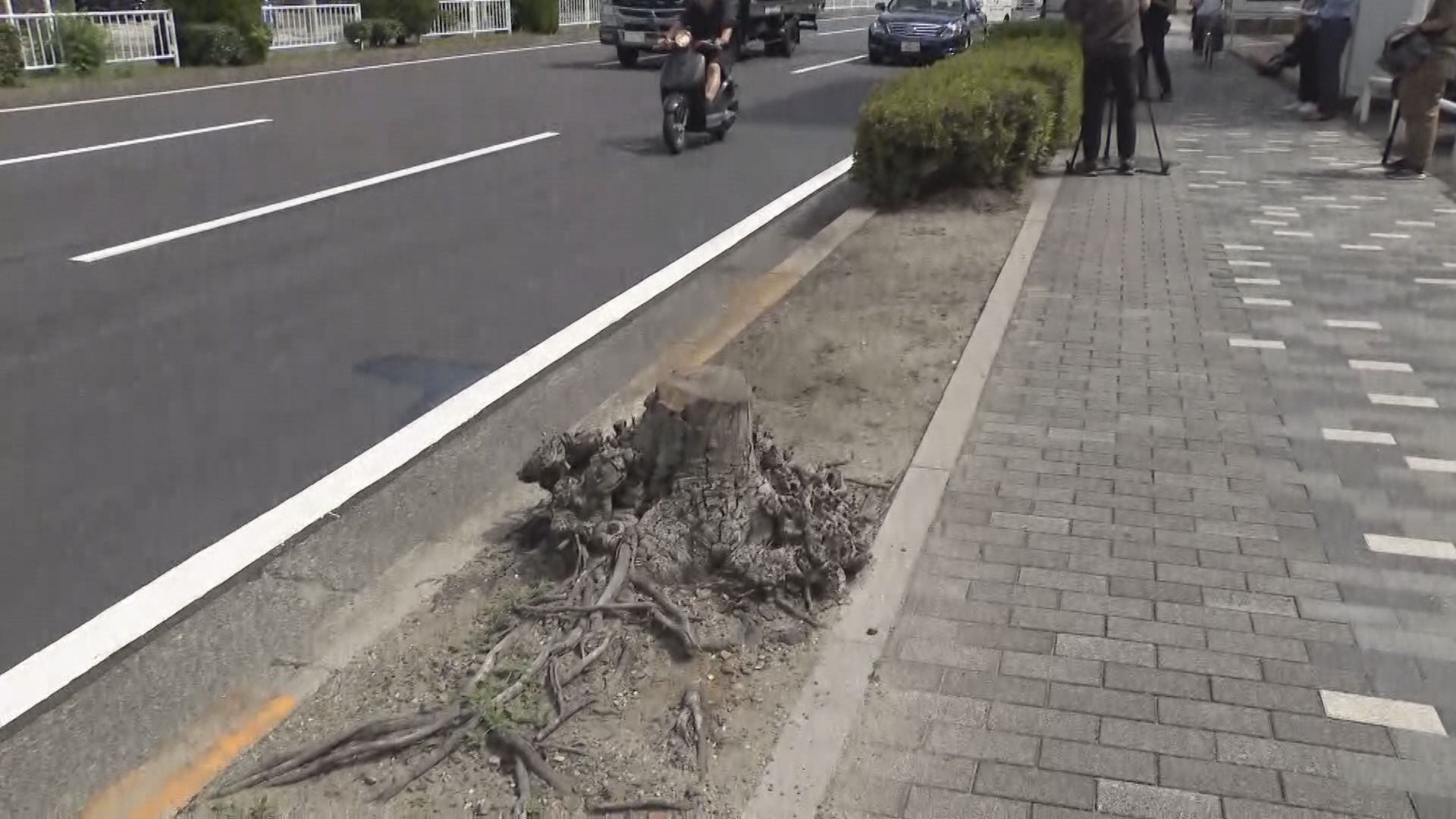 ビッグモーター店舗前の街路樹が枯れた問題　除草剤の成分検出で名古屋市が被害届提出