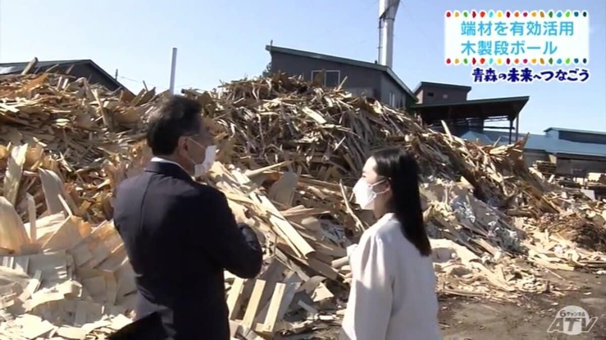 木材加工の端材を有効活用！木製の段ボール「e・wood+」 【SDGs特集