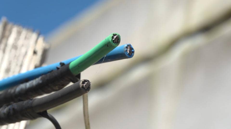 電照菊畑の電線を盗まれる被害相次ぐ 1年のスケジュールを狂わされた農家怒り「電線だけの被害じゃない」 背景に銅価格の高騰… 買い取り業者への働きかけ強化へ