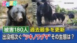 クマ被害が過去最多 世界初の映像から分かるクマの生態を知り身を守ろう【ひるおび】|TBS NEWS DIG