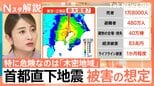 死者最大1.8万人「首都直下地震」の被害想定は?避難者480万人とも…“自分できることは自分で”がポイントに【Nスタ解説】|TBS NEWS DIG