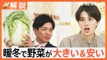 “暖冬”が影響 白菜が「大きくて安い」 今後は値上がりの可能性で今が買い時?大量消費のコツは?【Nスタ解説】|TBS NEWS DIG