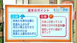 高知の天気 14日は各地で傘の出番に 15日は回復するも気温差が大きい見込み 東杜和気象予報士が解説|TBS NEWS DIG