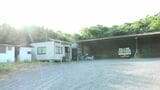 「白ナンバー」のトラックでカンパチなど運んだ疑い　鹿屋市の運送業者ら4人逮捕　鹿児島県警|TBS NEWS DIG