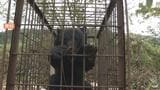クマが網戸をあけるも、ピシャ!と住人が網戸を閉めると驚き逃げる すぐ目の前にクマ「怖かった」(山形) | 山形のニュース│TUYテレビユー山形