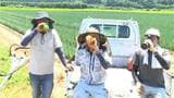 「もう耐えられない」きょう1日も暑い!35度以上の猛暑日で農家も悲鳴 鹿児島|TBS NEWS DIG