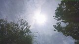 勝沼36.3℃、甲府、大月も猛暑日 県内5地点で今年最高 熱中症か 3人病院搬送 山梨 | 山梨のニュース | UTYテレビ山梨