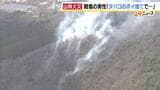 “タバコの不始末”が原因か　山林火災で70代男性1人がやけどをするけが　消防車19台・ヘリ2機が出動し消火活動中　大阪・能勢町|TBS NEWS DIG
