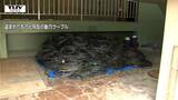 「一人で持ち出すことは難しい」浄化センターから400キロ以上の大量ケーブル盗まれる 施設は施錠されておらず(山形) | 山形のニュース│TUYテレビユー山形