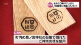 ご神木でつくった卒業記念のしおり　高千穂町の小学6年生にプレゼント|TBS NEWS DIG