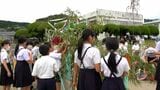 小学校に高さ10メートルの七夕飾り…願い乗せ風に揺れる　全校児童232人が高齢者30人と飾りつけ　鹿児島|TBS NEWS DIG