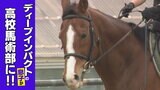 “日本競馬の至宝”「ディープインパクト」その息子は愛媛の小さな町にいた!“ウマ中心”馬術部の1日に密着!|TBS NEWS DIG
