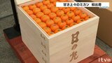 上々の甘さ!早生温州ミカン初荷出荷式 | 愛媛のニュース - Nスタえひめ|あいテレビは6チャンネル