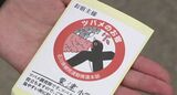 全国で唯一！石川県の小学生による「ツバメ調査」地域の自然を学び 保護の意識を育む|TBS NEWS DIG