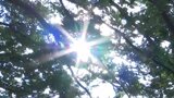 「今でこんなに暑いと7月、8月になったとき」 盛岡で6月として初の5日連続真夏日 県内34観測地点のうち14か所で真夏日|TBS NEWS DIG