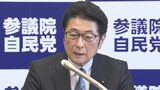 消費税減税に匹敵する対策を　松山参院幹事長が参院選公約めぐり|TBS NEWS DIG