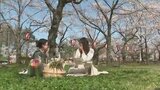 4年ぶりに“飲酒解禁”で桜を楽しむ人々の姿も…　『観桜会』に41万人　新潟県 高田城址公園|TBS NEWS DIG