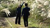 天竜26.2℃静岡25.8℃ 11月後半なのに観測地点18地点中8か所で「夏日」に=静岡 | 静岡のニュース | SBSNEWS | 静岡放送