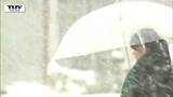 雪情報 きょう夜にかけて東北地方は暴風雪に警戒を 風は海上陸上ともに最大30メートル 降雪は山沿いで最大40センチか 気象庁発表 | 山形のニュース│TUYテレビユー山形