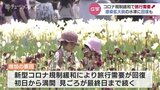 コロナ規制緩和で旅行需要が拡大!感染拡大前の水準に回復も 富山 | 富山のニュース|天気・防災|チューリップテレビ