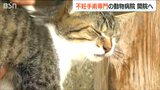 多頭飼育崩壊に歯止めを 猫の不妊去勢手術を専門とする動物病院開設へ 新潟|TBS NEWS DIG