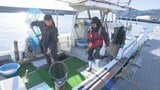 大規模火災の佐賀関 年末年始用の魚出荷はじまる 大分|TBS NEWS DIG