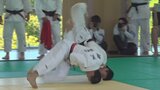 山梨県高校総体 1日目 柔道団体は男女ともに全勝優勝で連覇 | 山梨のニュース | UTYテレビ山梨