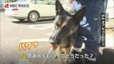 「男性の枕の匂い頼りに」行方不明者捜索で警察犬ボルに3回目の感謝状 | 長崎のニュース | 天気 | NBC長崎放送