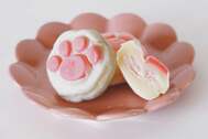 「猫の肉球、食べちゃいたい」宮城・塩竈発のお菓子ブランドが全国展開するまで|TBS NEWS DIG