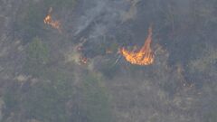 【速報】政府が官邸危機管理センターに情報連絡室を設置　愛媛県今治市と岡山市の山林火災| TBS CROSS DIG with Bloomberg