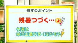高知の天気 9日 雲広がるも真夏の暑さ 山岸拓気象予報士が解説|TBS NEWS DIG
