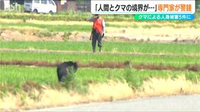 熊対策は？「人間との境界がなくなっている」5件目の人身被害 出没数“過去最多”新潟県内|TBS NEWS DIG