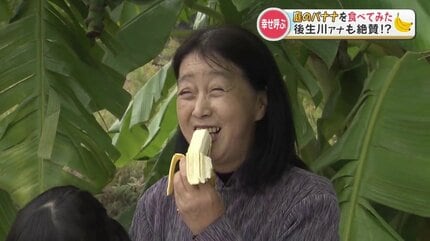 壁穴からバナナ そんなバナナ」 壁穴からバナナ そんなバナナ」