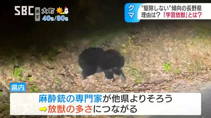 クマの駆除に抗議電話殺到のケースも 一方で駆除の割合が少ない長野県